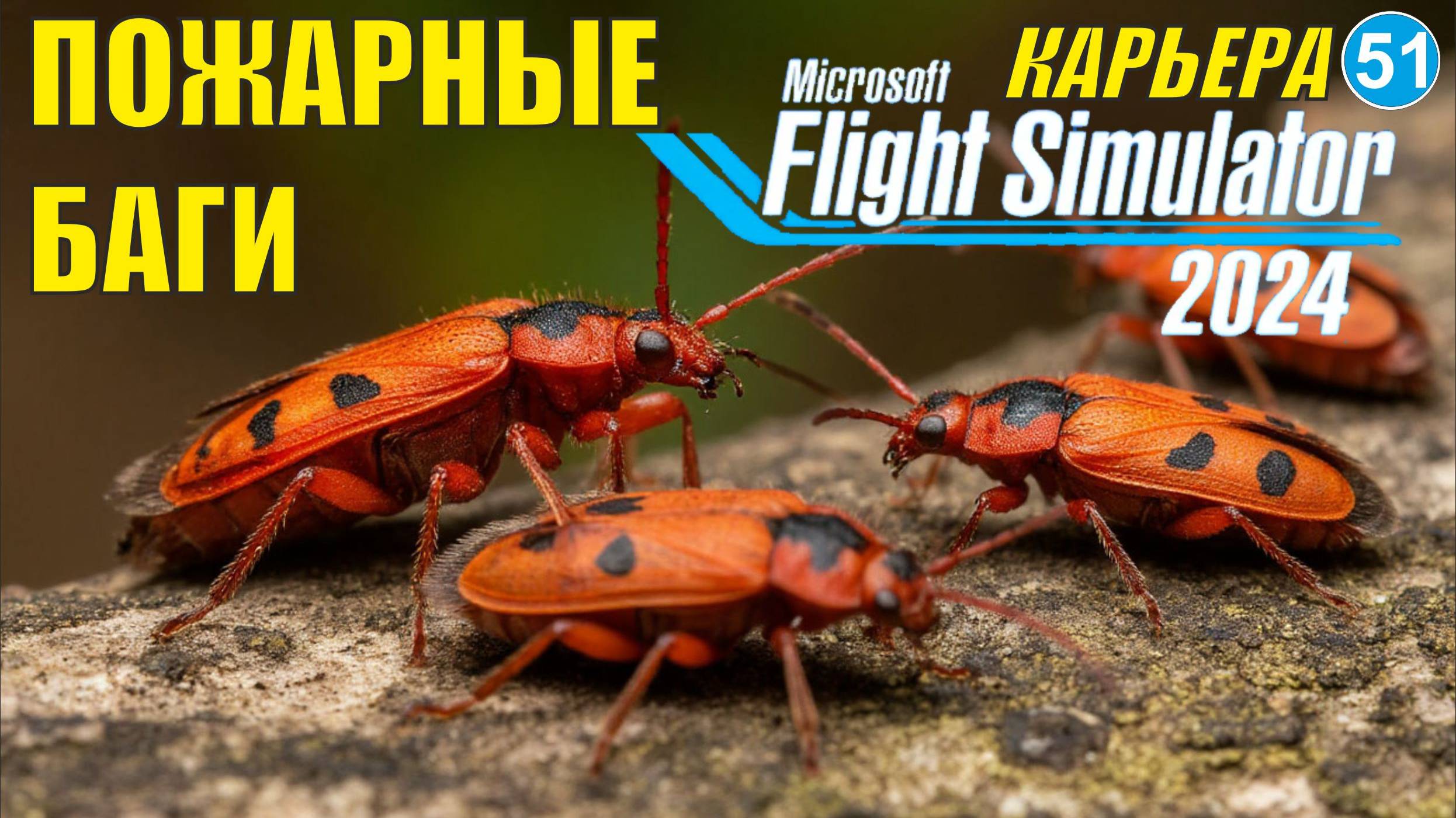 Microsoft Flight Simulator 2024  - Пожарные баги