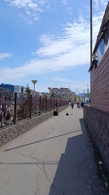 Зеленоглазое такси лайф