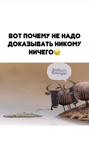 Нужно ли доказывать упертым
