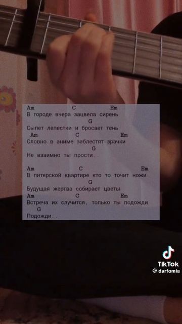 1000003455.mp4