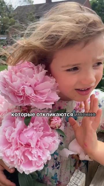 Внешний мир поле игры