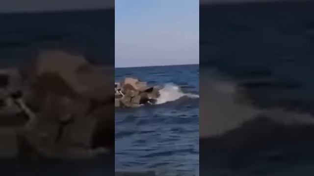 РОЛИК ОТ ЛЮДМИЛЫ... ВЕДЬМИНА ИЗБА ИНГА ХОСРОЕВА