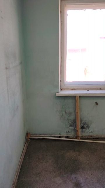 Помещение 18,7 м2. (Д206)