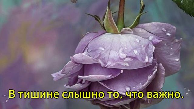 Подпишись!