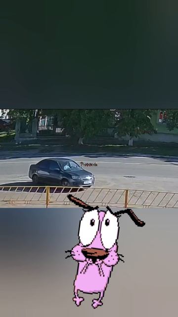бедный пёс