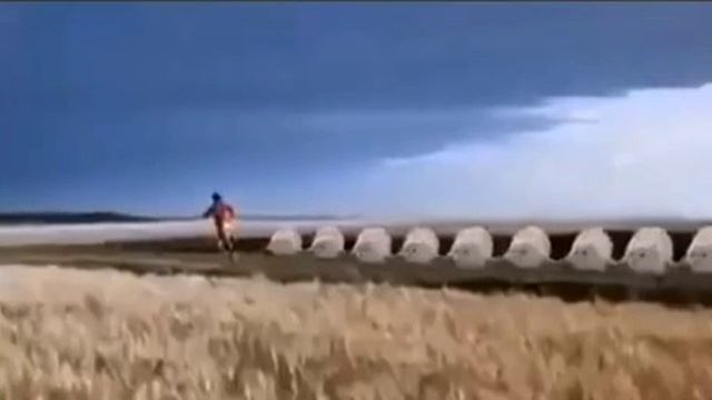 тюлений штурм