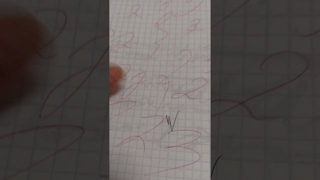 1000019209.mp4