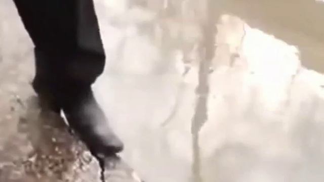 во вот он ходит XD XD XD