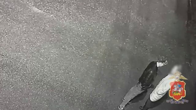 Подмосковные полицейские задержали мужчину, который напал на женщину и ограбил ее