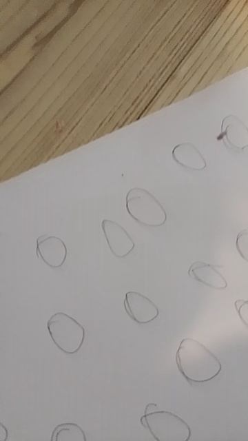 1000003975.mp4