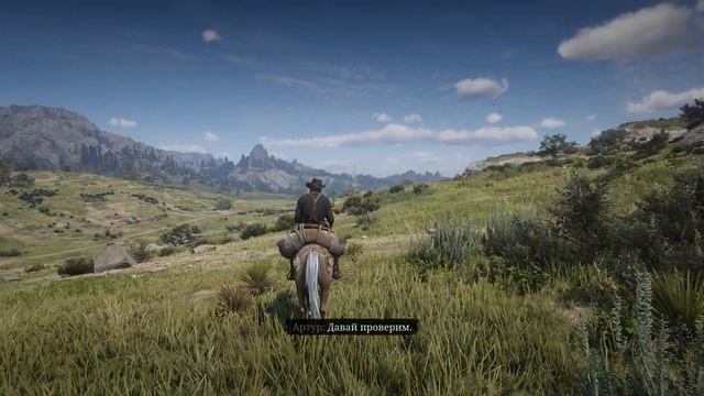 Red Dead Redemption 2 20 - Охота с Чарльзом