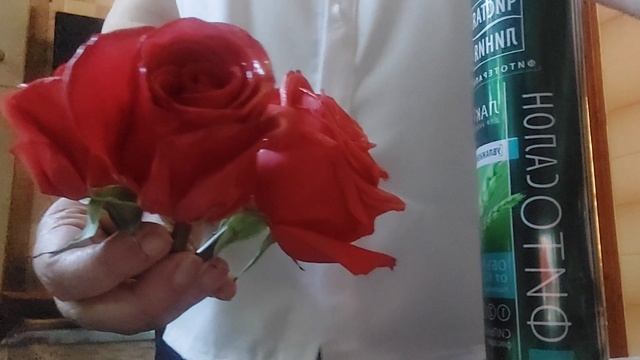 Москва в цвету .28 мая