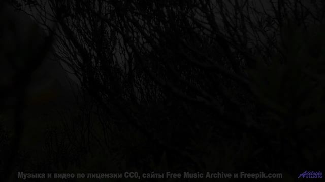 Эта музыка заставит вашу кровь кипеть - осторожно! - The Ballad of Henry Twinkler -- Dr Sparkles --