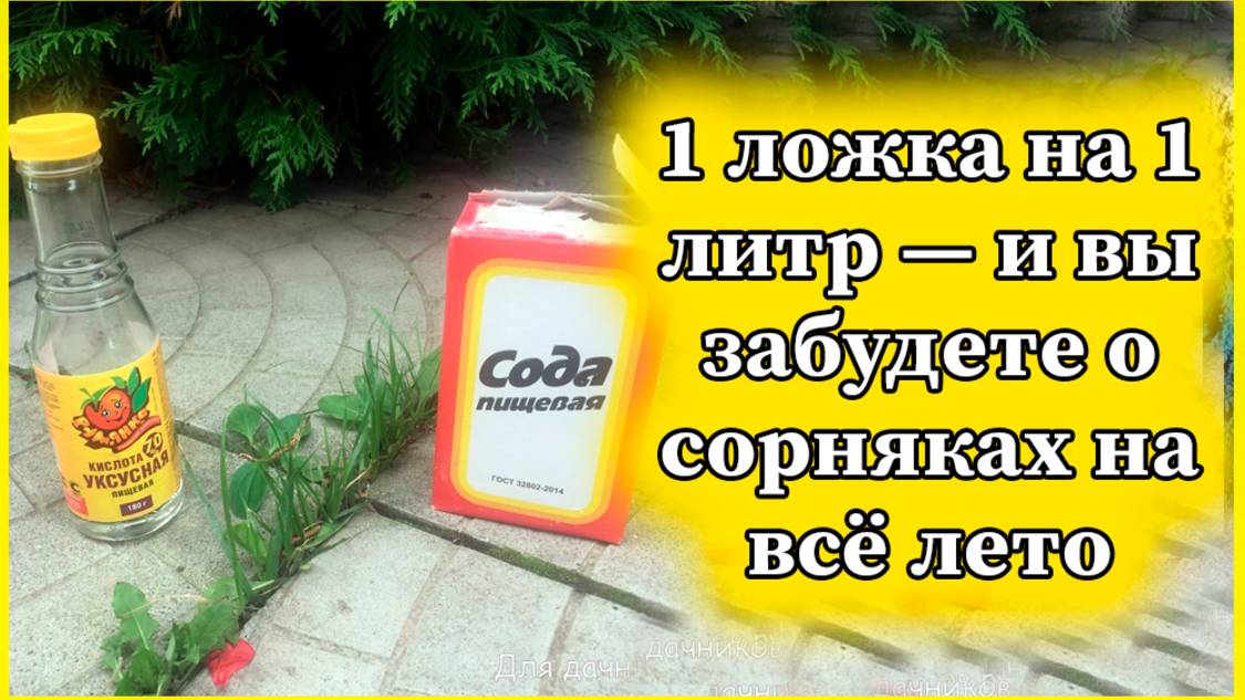1 ложка на 1 литр — и вы забудете о сорняках на всё лето: больше никакой прополки и едкой химии