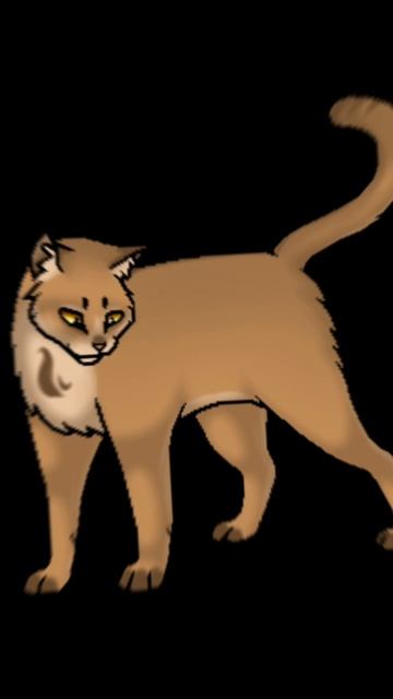 Коты-Воители