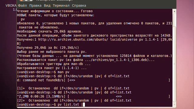 Прогрессбар в консоли