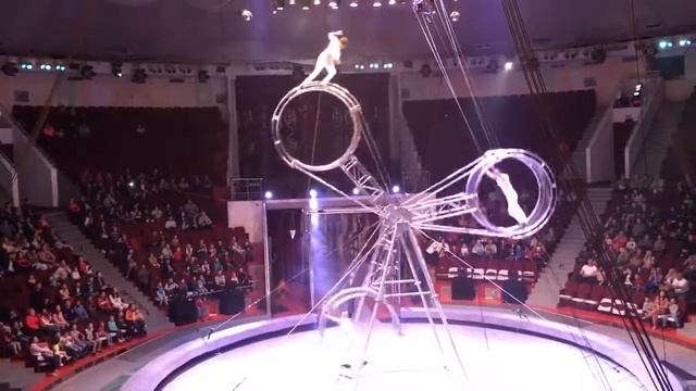 Колесо смерти / Wheel of death