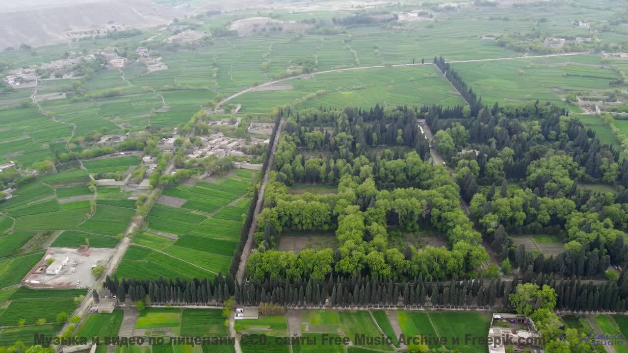 Кадры природы через призму нейросети - новый взгляд на реальность! - Ranch Strut -- Ranch House -- T