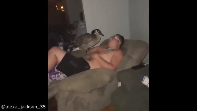 How Does This Keep Happening