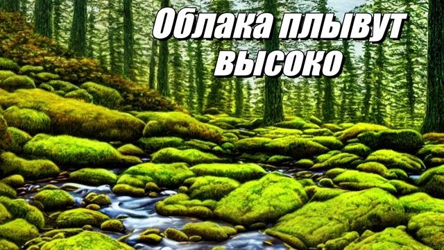 Облака плывут высоко