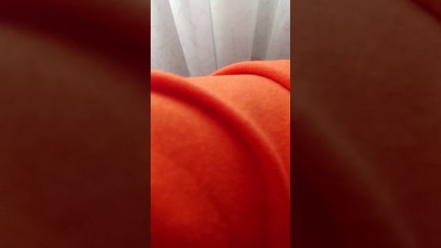1000000291.mp4