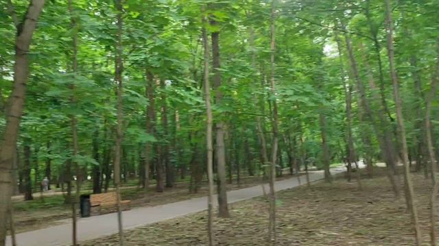 Алисия.. Горка кораблик.. Клипер.. парк Щукино.. май 2025г.