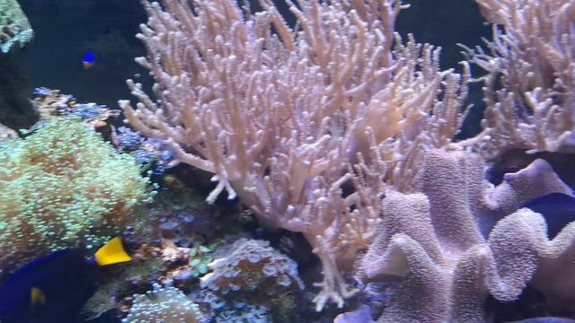 VID_20240612_113240