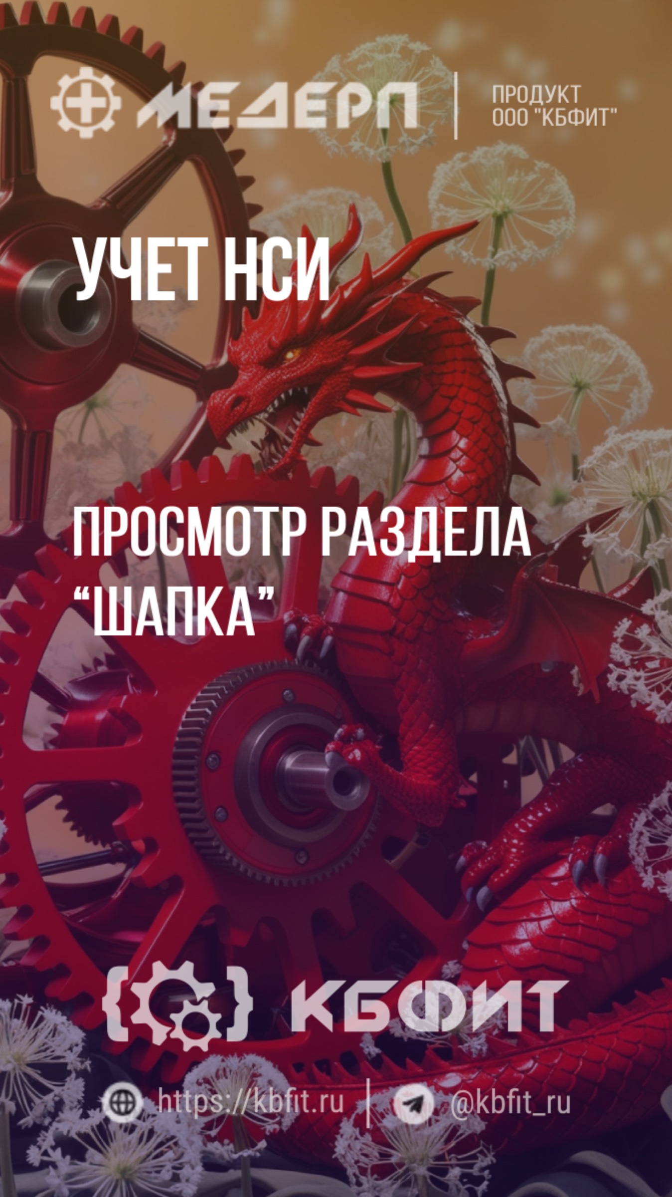 КБФИТ: МЕДЕРП. Учет НСИ: Просмотр раздела “Шапка”
