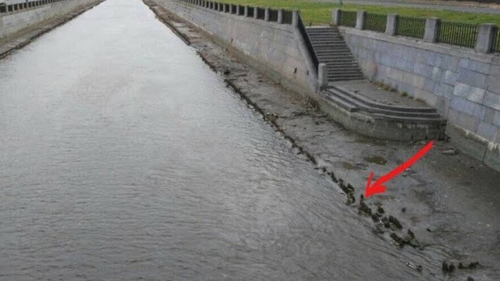 История пи. ВОДА УШЛА ИЗ НЕВЫ И ПОКАЗАЛИСЬ НАБЕРЕЖНЫЕ 18 ВЕКА.