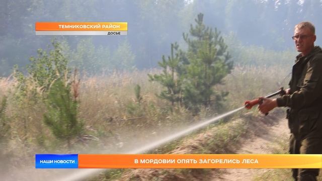 В Мордовии опять загорелись леса