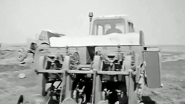 1979 год. Тюменская область. Посадка картофеля в совхозе
