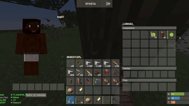 Успешное начало вайпа в кубическом мире Rust