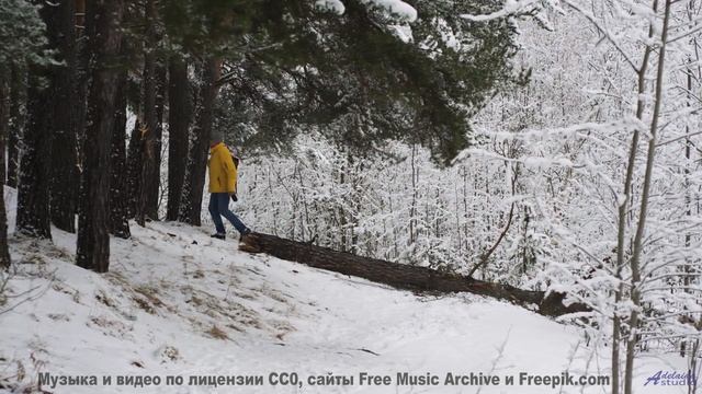 Это видео - как погружение в океан спокойствия! - Acoustic Fingerpicking 10 -- Independent Music Lic