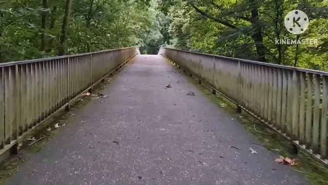 Отет на вопрос как начать изменять себя. С чего начать