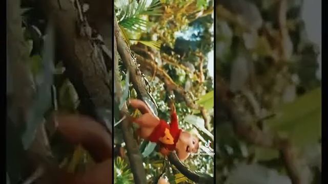 Элвин и бурундуки песенки