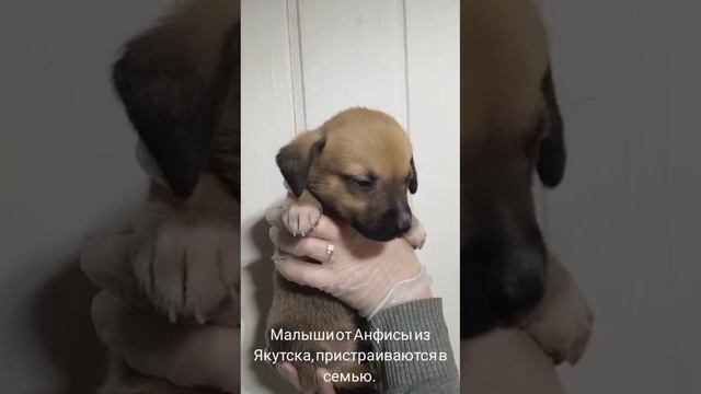 30-05-2025 малыши от нашей Анфисы