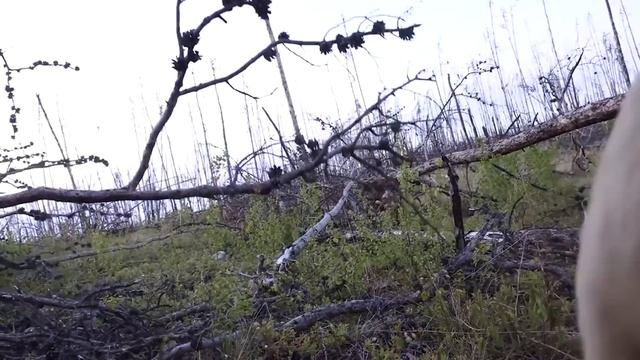 People vs. Nature | Crazy Outdoor Fails