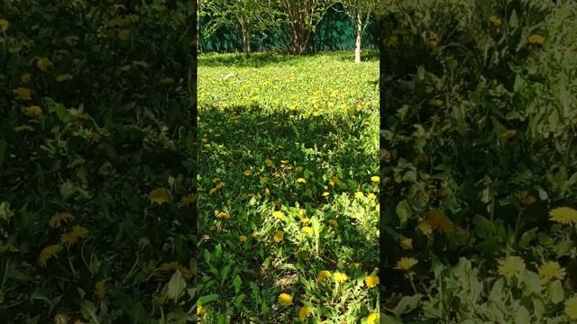 Анонс работы с самооценкой #психологонлайн #самооценка #личность #саморазвитие