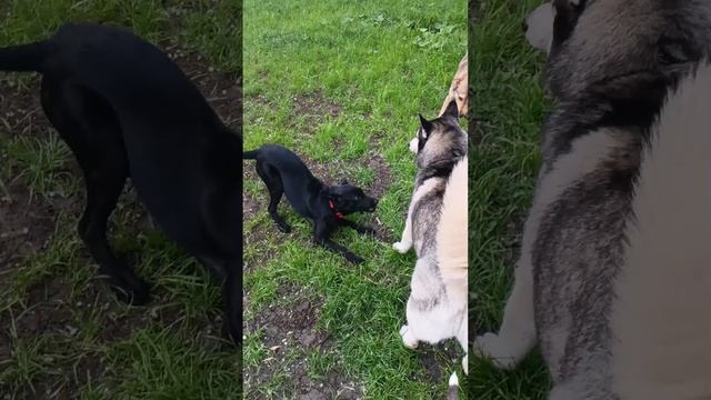 1000027739.mp4