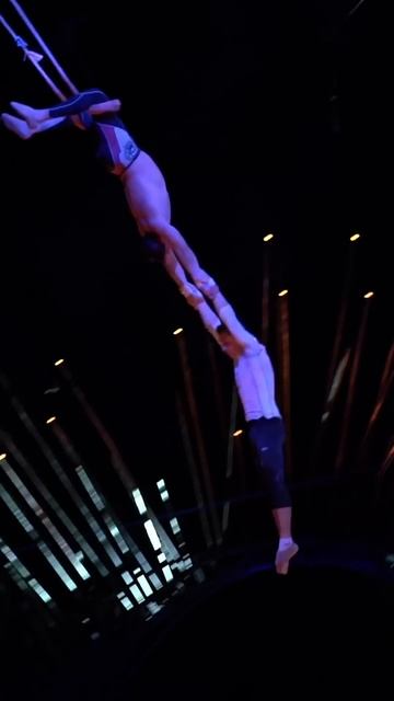 IMPOSSIBLE Triple Backflip in Flying Trapeze 🤯