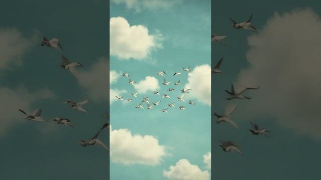 Курлычат журавли (1)