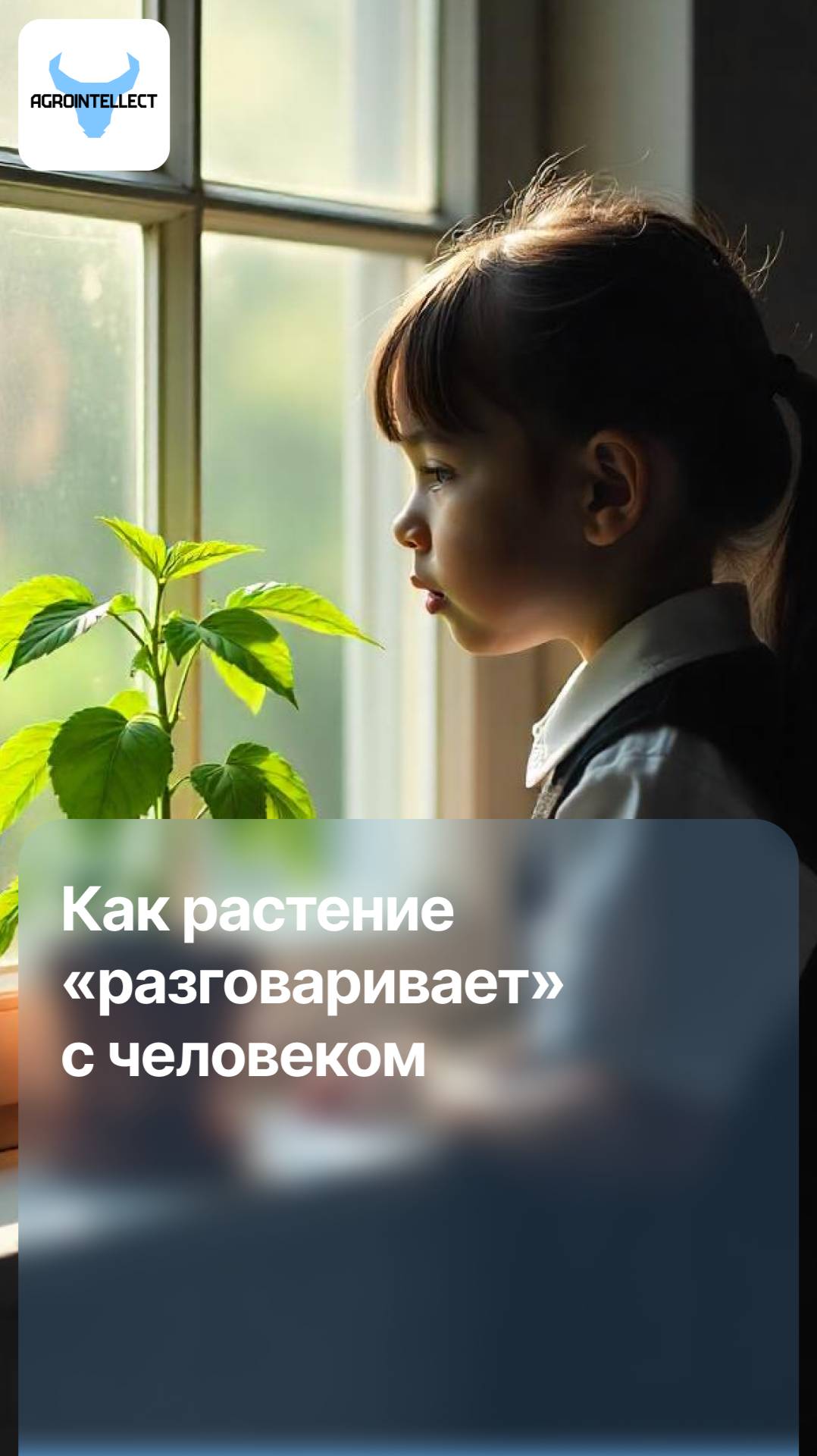 Шокирующий эксперимент: как растение «разговаривает» с человеком?