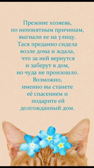 💖 Тася – это комочек тепла и нежности, который готов подарить вам всю свою любовь. 💖
