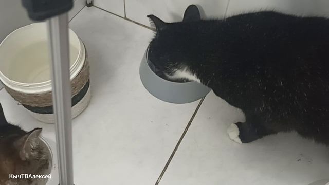 Жизнь Хороша!