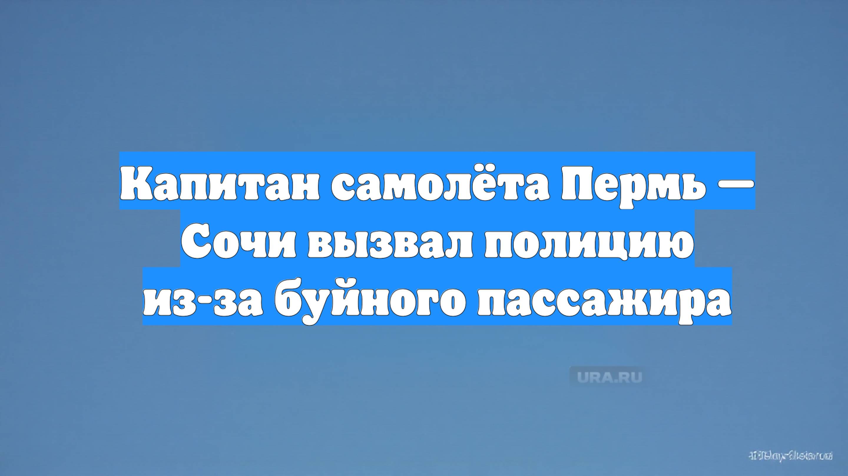 Капитан самолёта Пермь — Сочи вызвал полицию из-за буйного пассажира