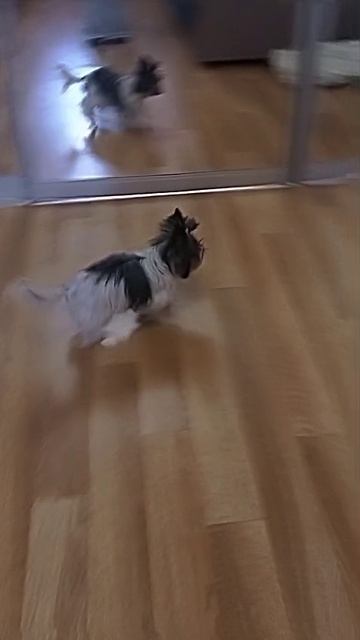 го ночной актив🥰