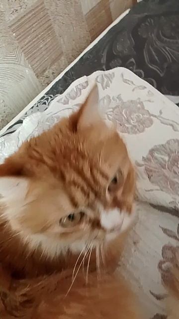 1000001148.mp4