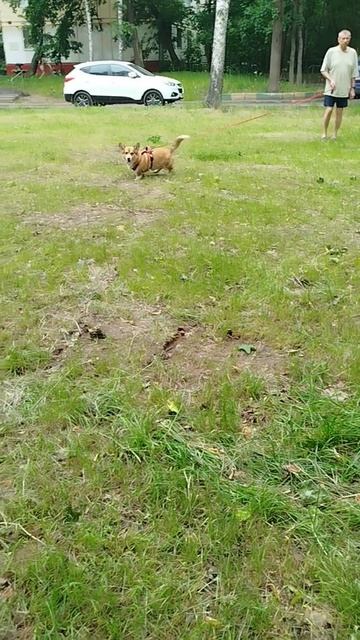 Я не трус, но я боюсь😁 
Там такая красотка для Сени