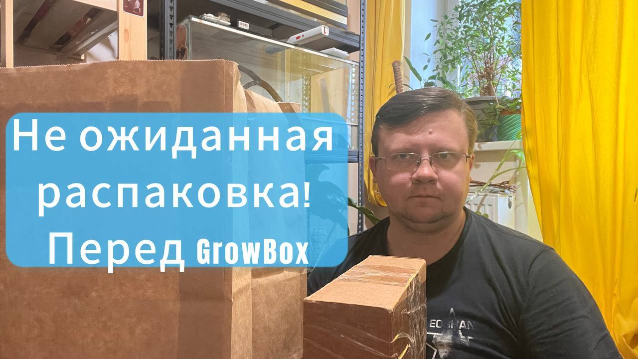 Неожиданная распаковка перед GrowBox Market!