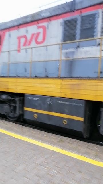 VID_20250531_054410.mp4